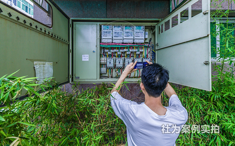 内幕三肖